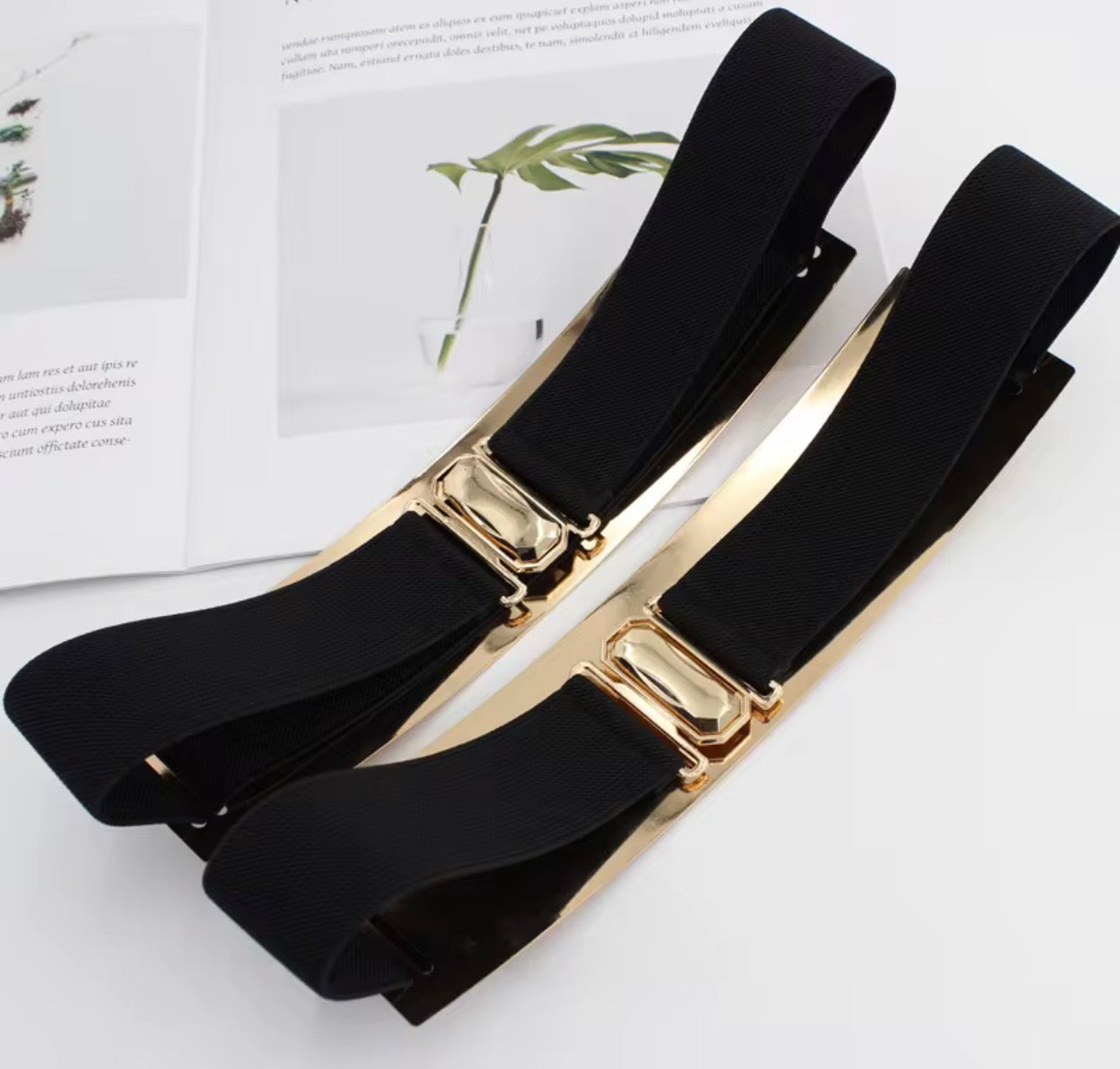 Belt